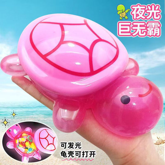 Glowing Turtle Touch Toy